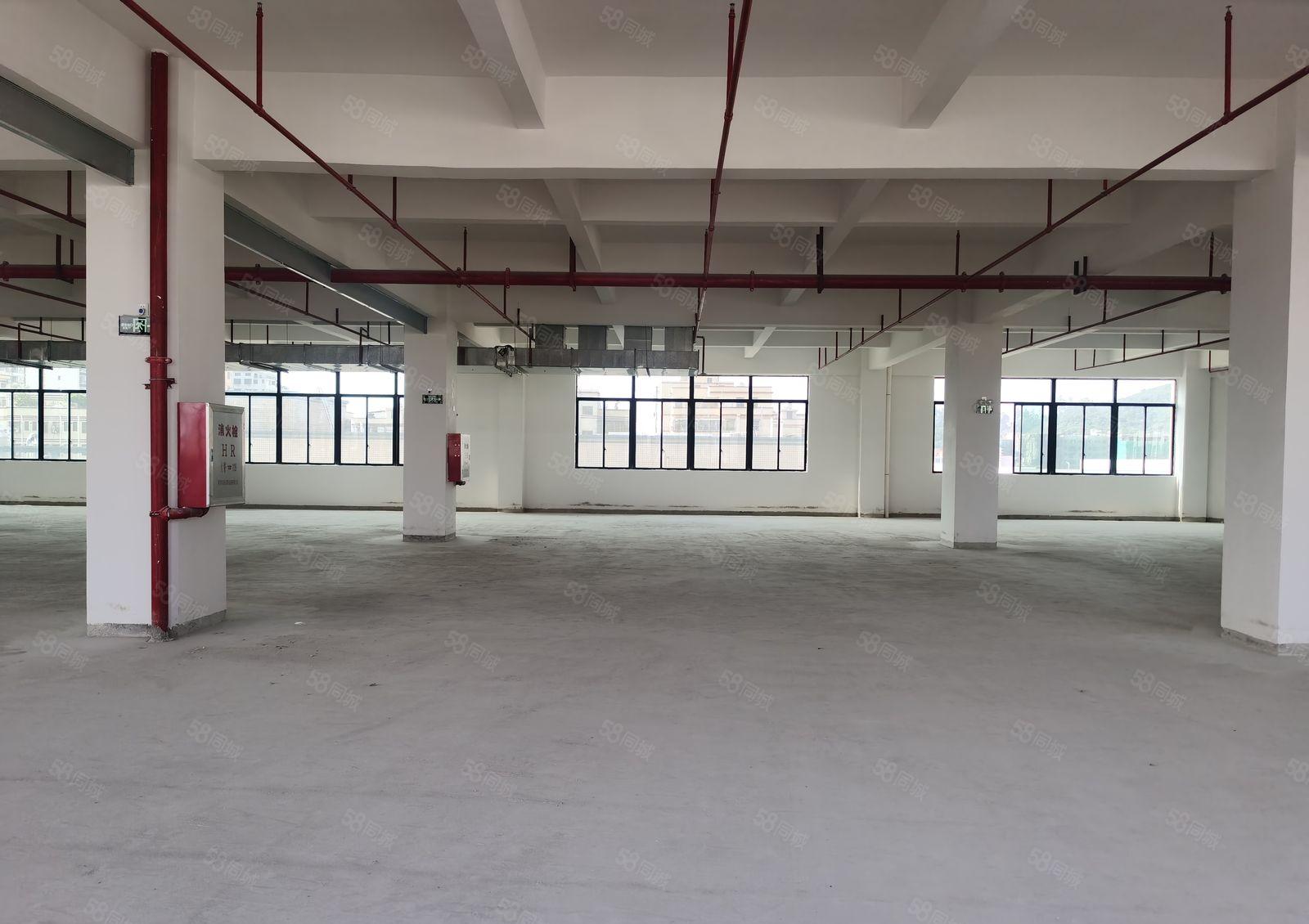 全新建设15元含税价标准红本厂房出租，原房东实际面无公摊！