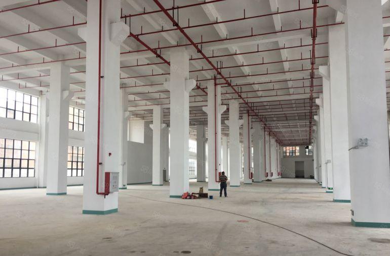 高11米惠阳秋长白石红本厂房3000平起出租带牛角带卸货平台