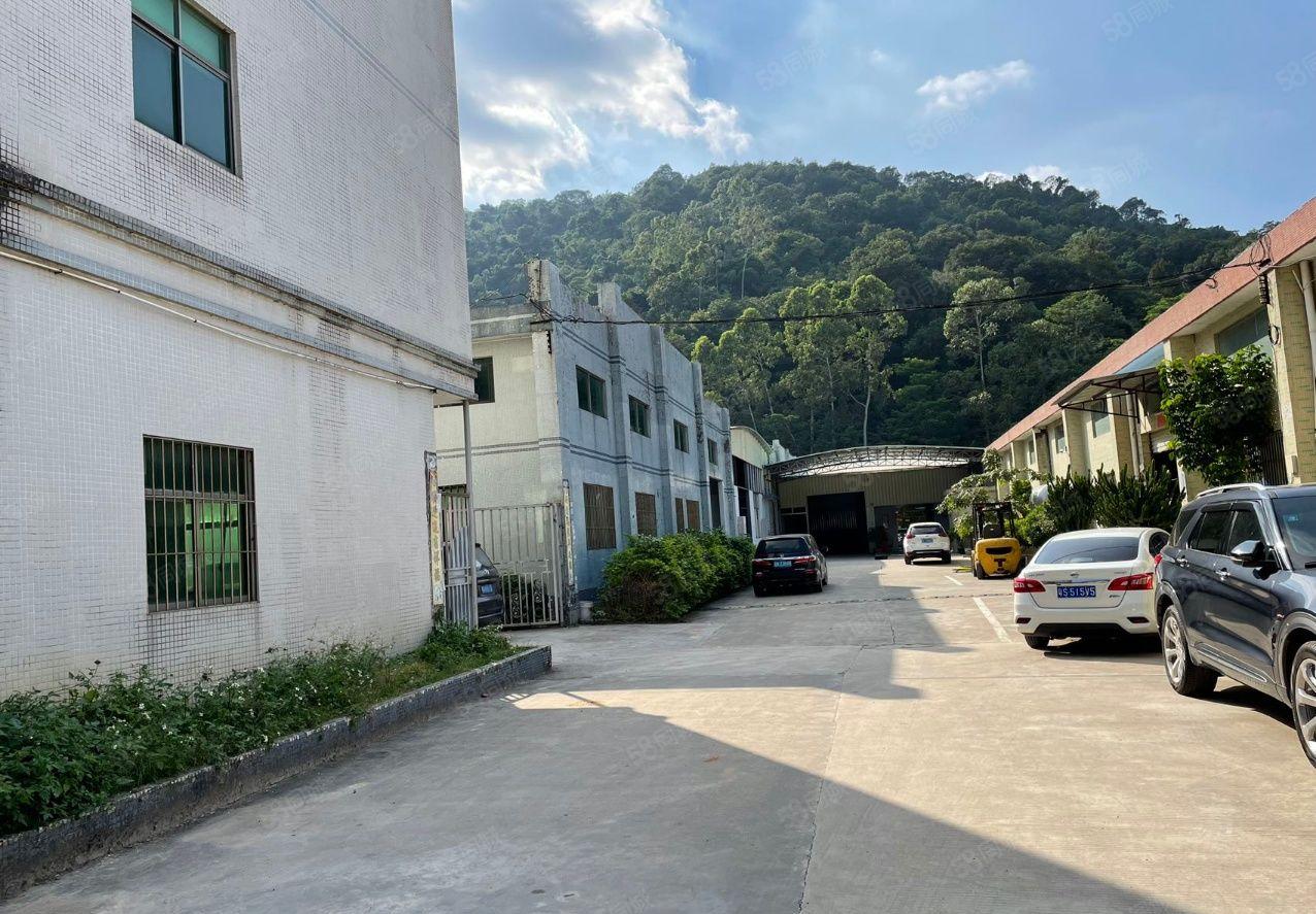 惠阳区镇隆镇独门独院钢构厂房出租总面积7965平米，可以分租