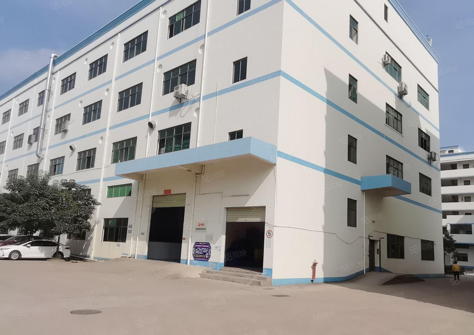 秋长 原房东 一楼1600平 现成行车装修办公室 可办环评