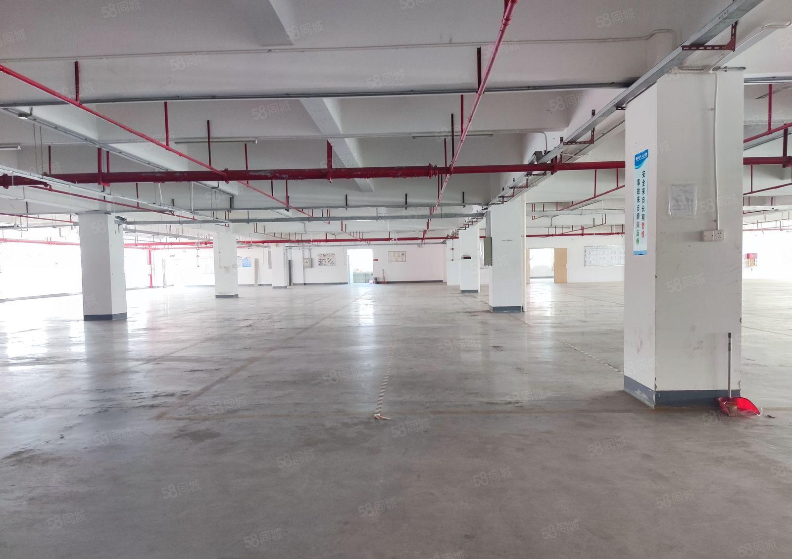 惠阳区秋长镇工业园区新出标准厂房4楼2000平米现成装修出租