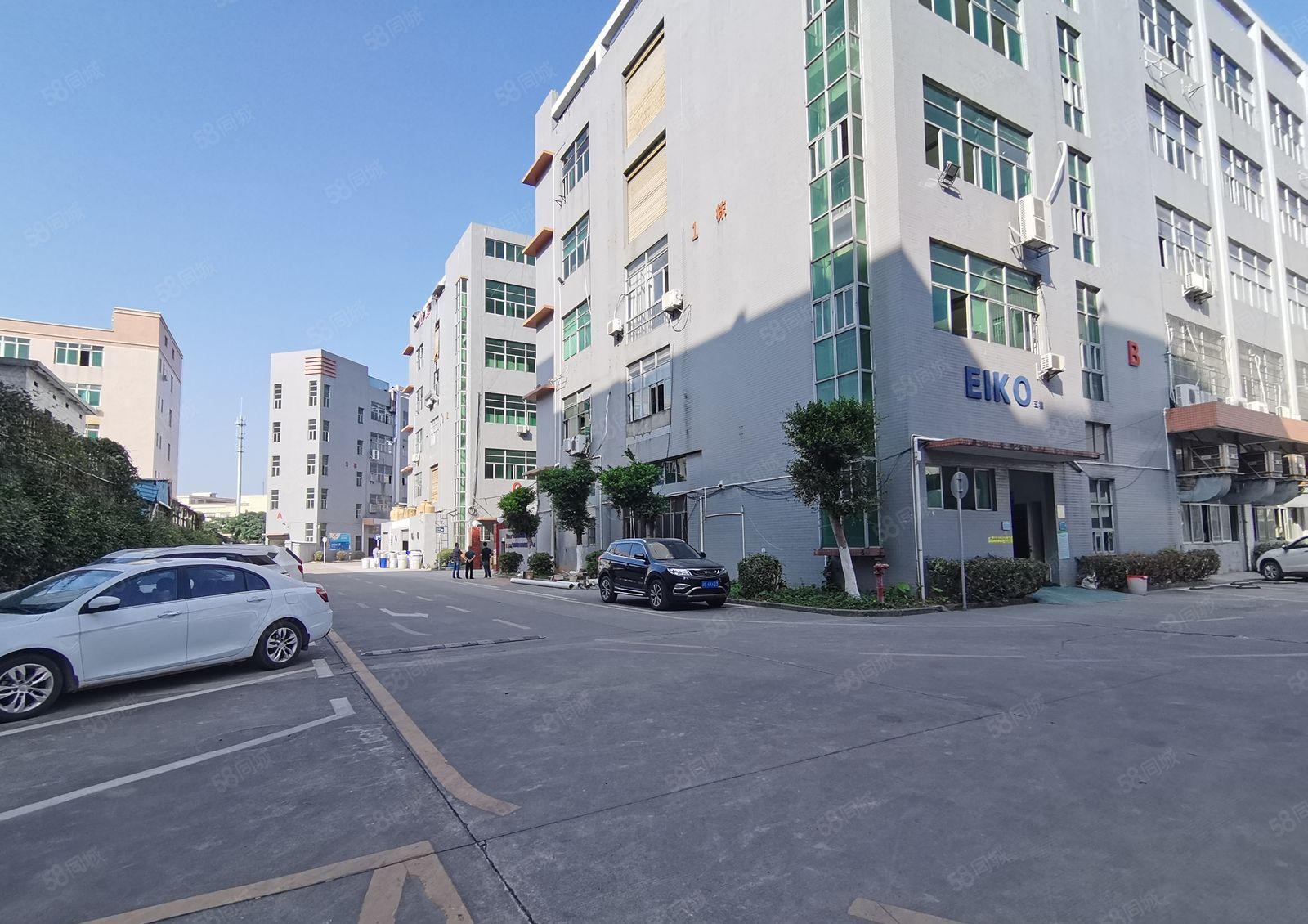 镇隆井龙工业区5000平厂房出租原房东证件齐全10元起可分租