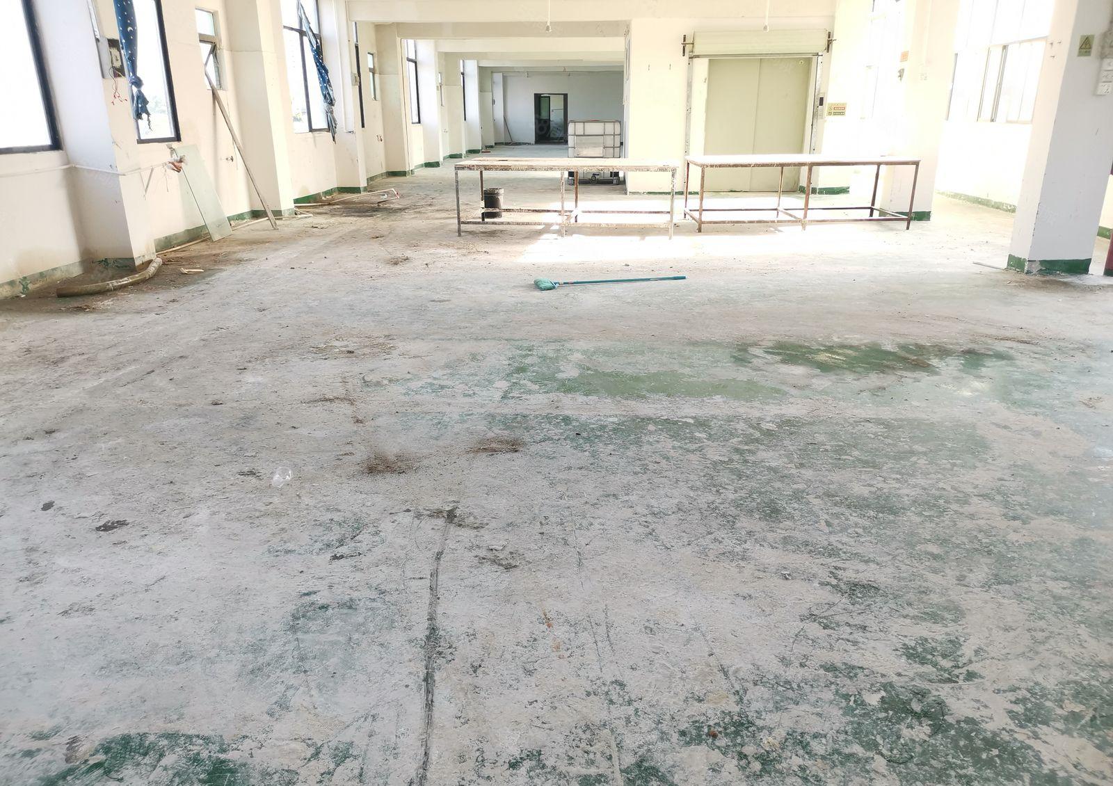 可做喷油！秋长新塘原房东标准厂房4楼600平便宜出租