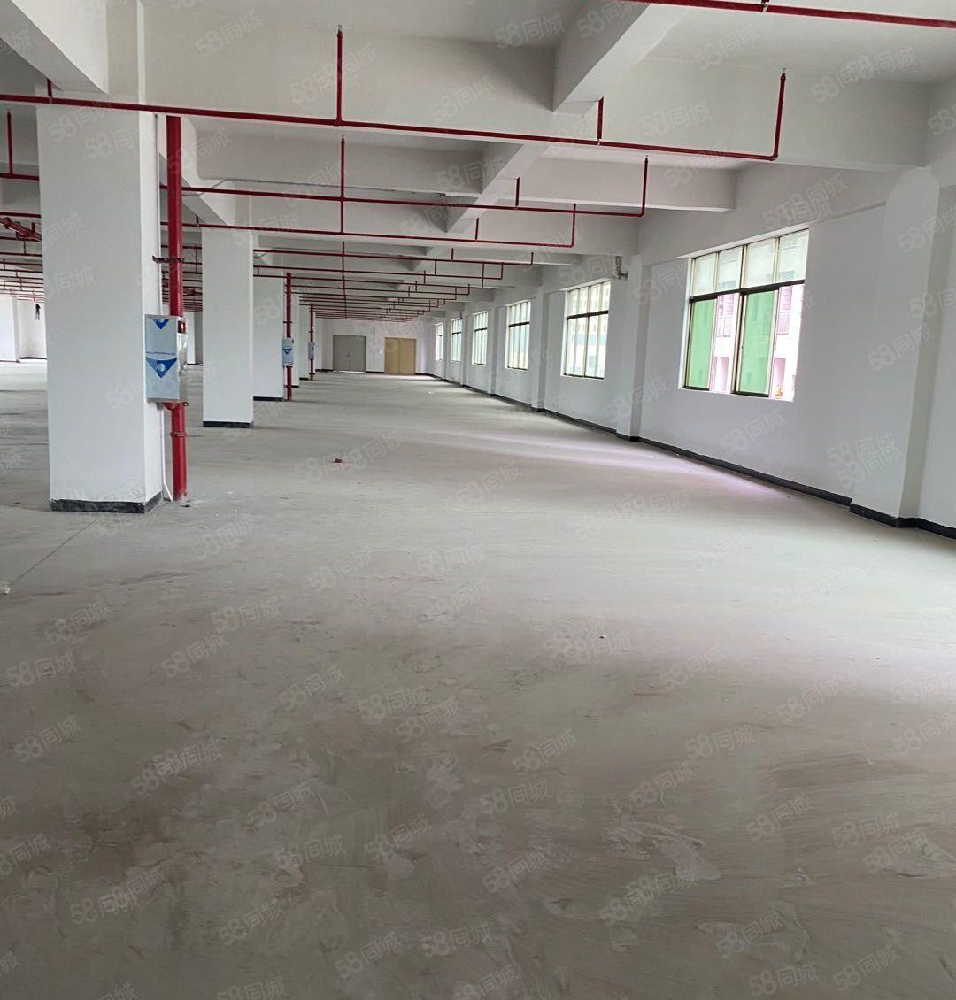原房东直租新圩新出标准厂房三楼2580平米可办环评