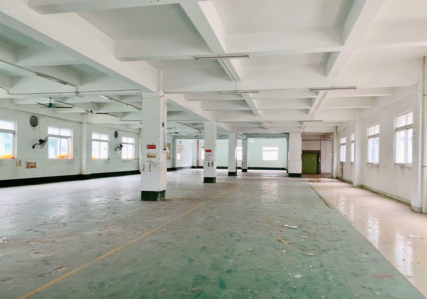 惠阳区镇隆镇繁华地带园区厂房低价出租2006000平可分租