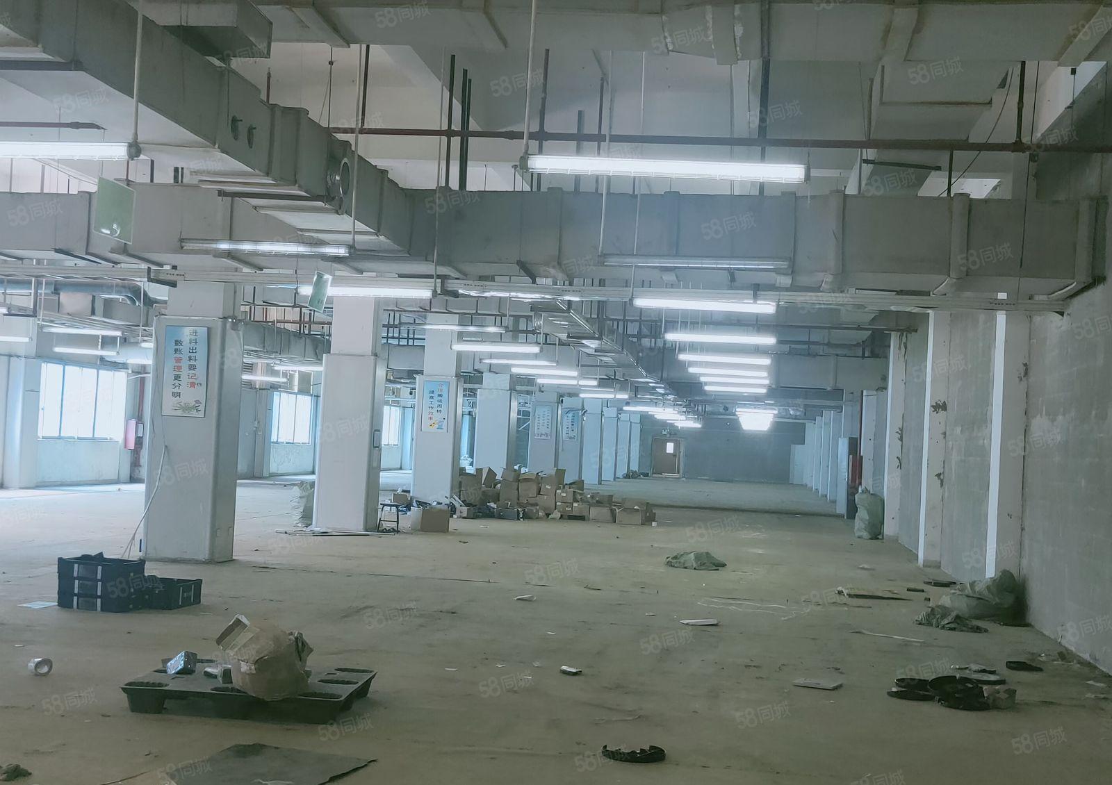 三和工业园厂房出租15万平可分租