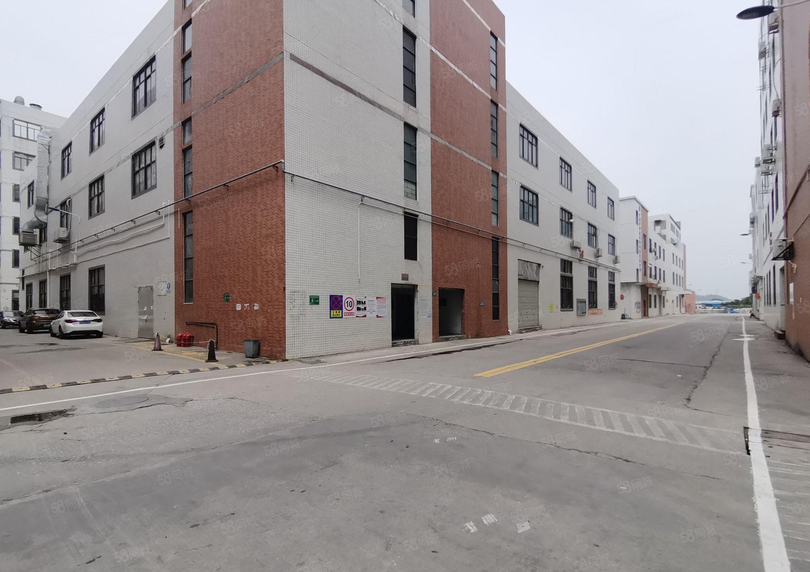 10元起1000平起租秋长茶园工业区原房东3000平厂房出租