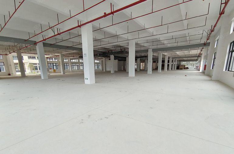 镇隆永湖靠山全新原房东独院50000平厂房低价出租 接受包租