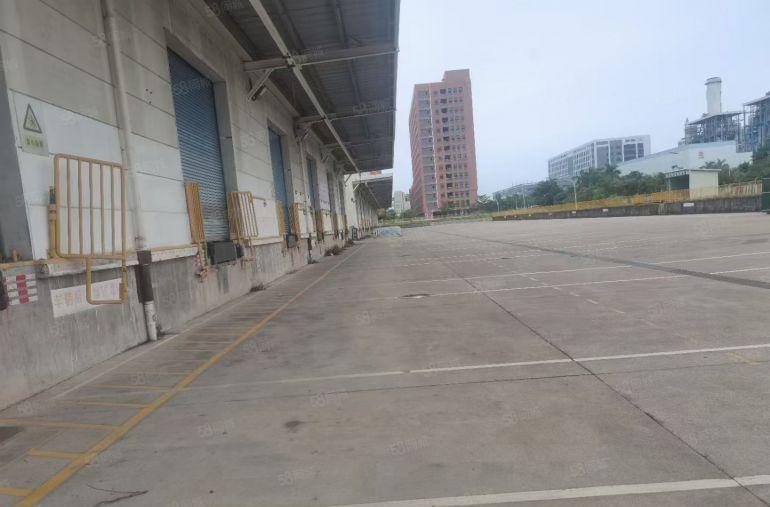 惠阳新空出10米高标准仓库出租