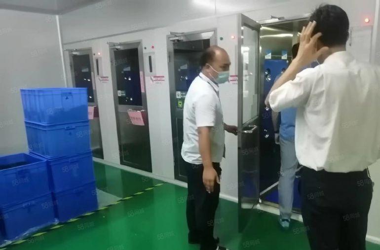 惠阳镇隆新出原房东现成千级无尘车间厂房出租