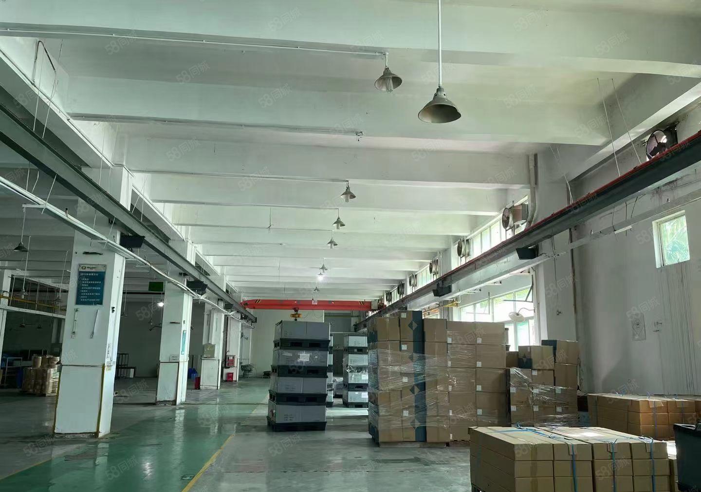 惠阳区秋长新塘新出标准独院标准厂房13层6500平方招租