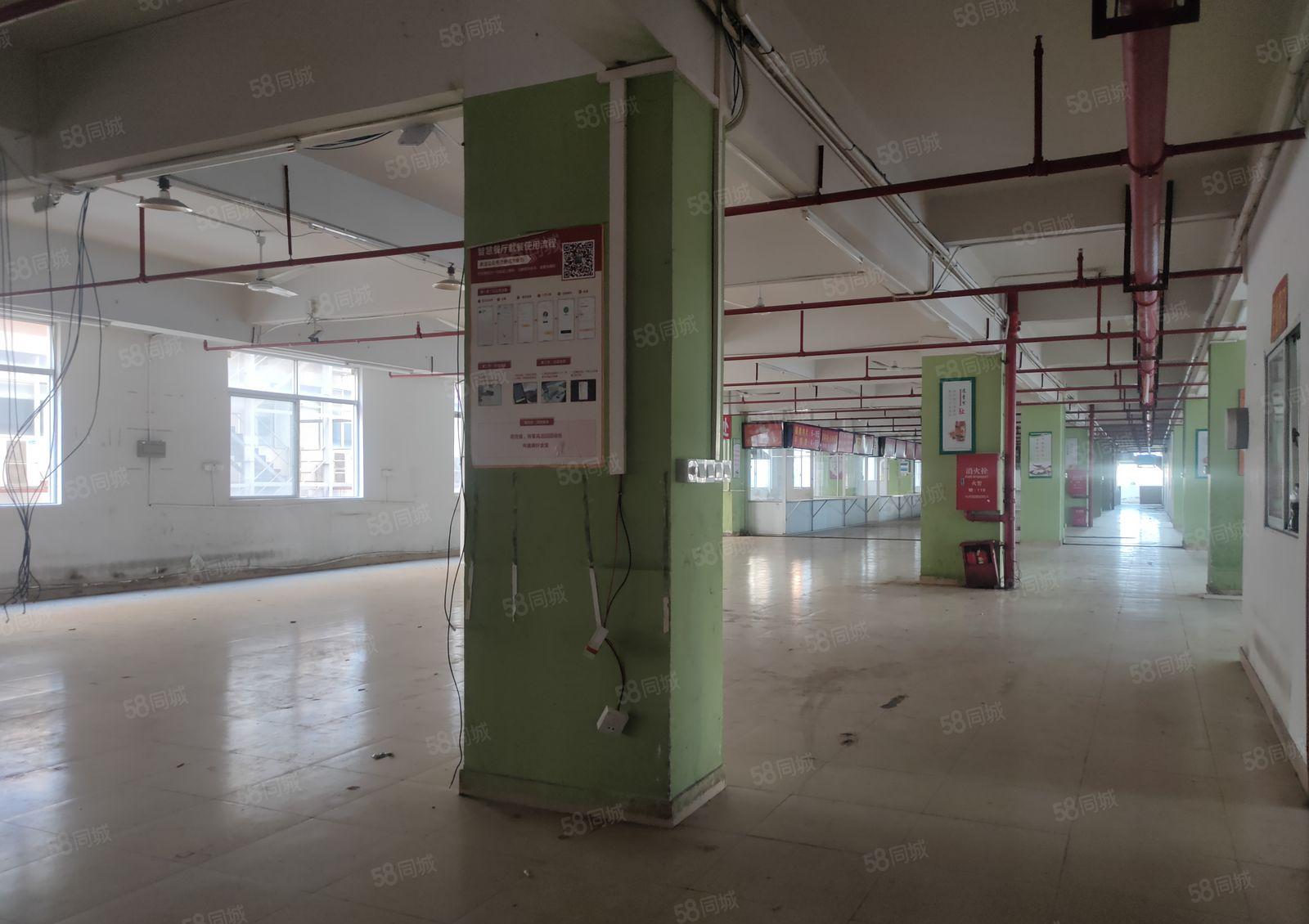 新圩工业区2000平方原房东厂房出租500平方起分租可办环评