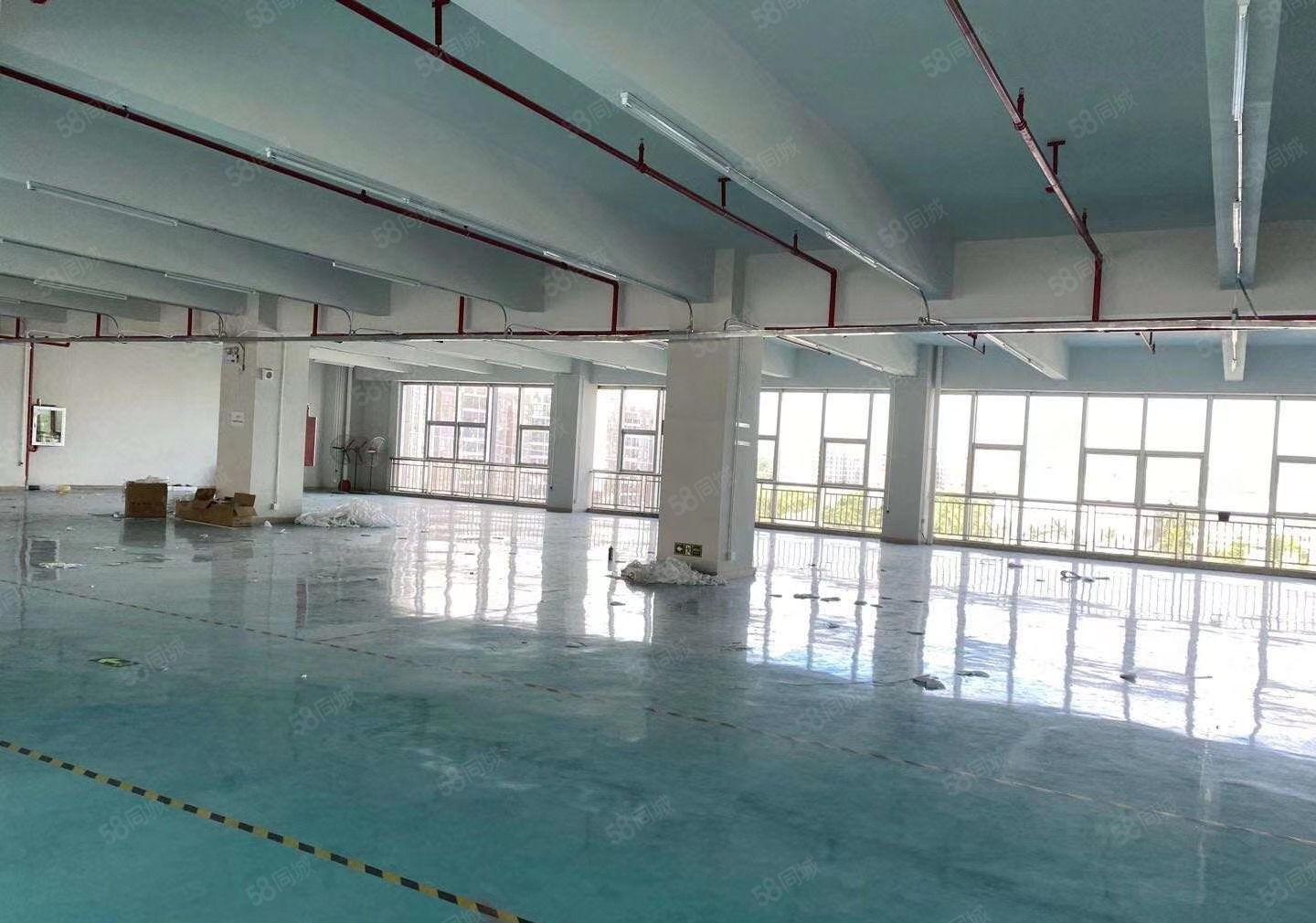 (原房东)秋长镇茶园玻璃幕墙科技园每层2100平可分租