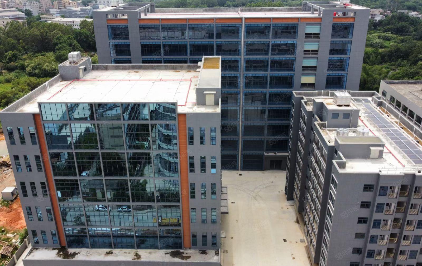 惠阳沙田全新红本厂房出租，可整租可分租，工业用地可办环评