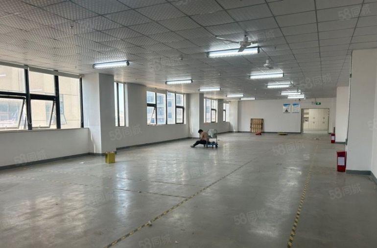 原房东独院红本标准厂房，2公里内双高速