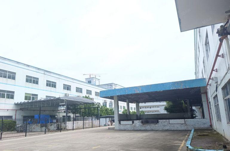 新圩原房东独院厂房面积7000平米现成卸货台一楼层高5.5米