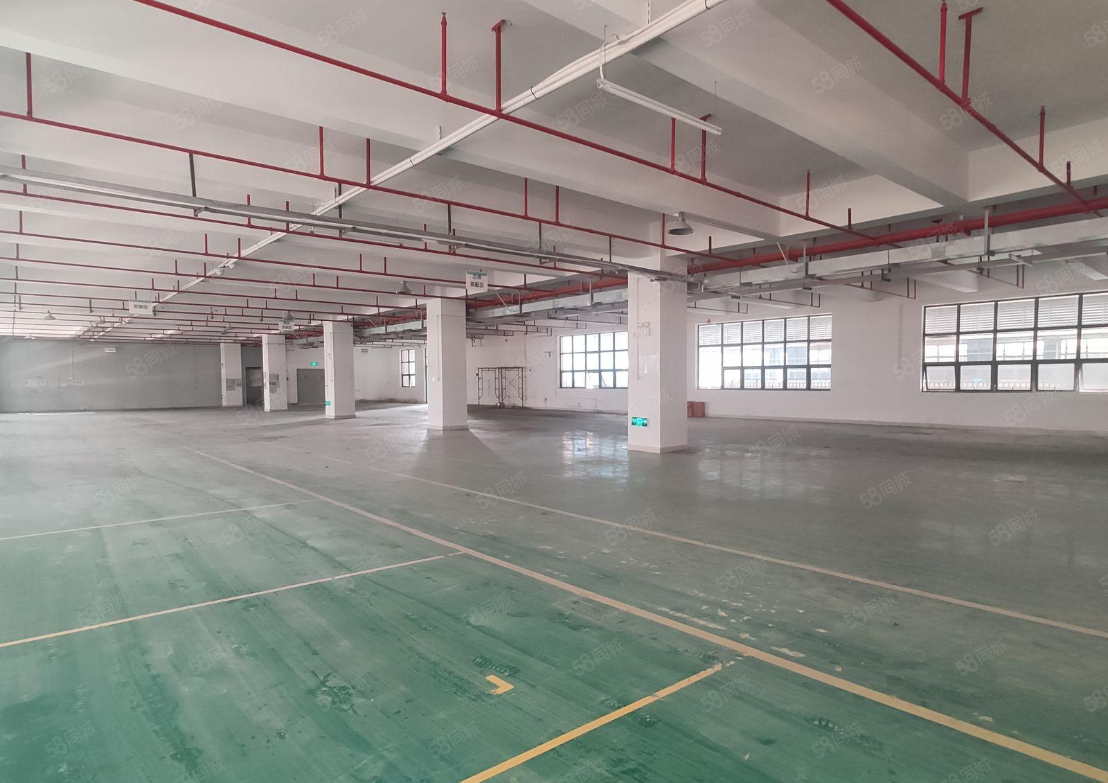 500平起租惠阳镇隆原房东红本200平500平厂房仓库出租