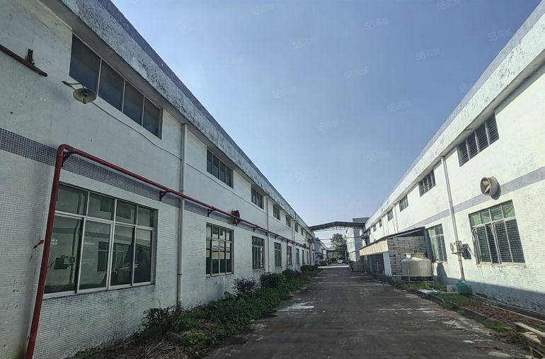 镇隆厂房出租独栋厂房3000平花园厂房可仓库出租空地大有办公