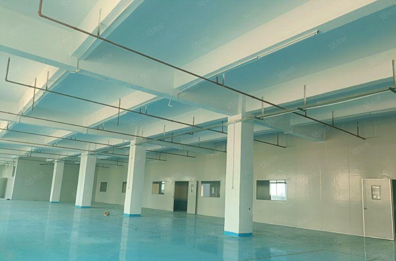 惠阳原房东独院厂房出租