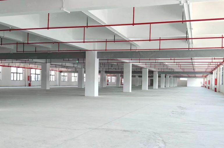 大亚湾西区全新红本厂房14万平 300平起租 现成办公室