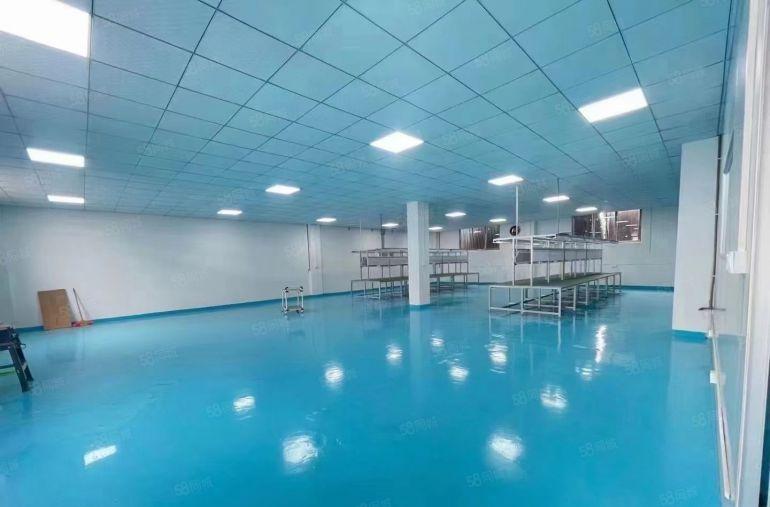 大亚湾中心区原房东标准厂房全新厂房精装修二楼底价出租现成水电