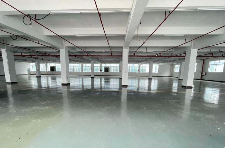 10元大亚湾临时红本独院2000平200平起厂房仓库低价出租