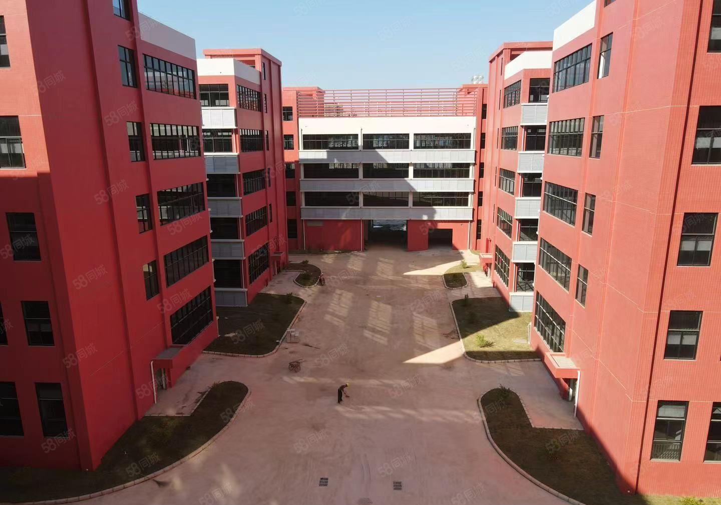 全新厂房，已交楼，租金便宜，免租期长