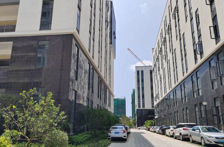 8元8元大亚湾原房东厂房带精低价出租可分租