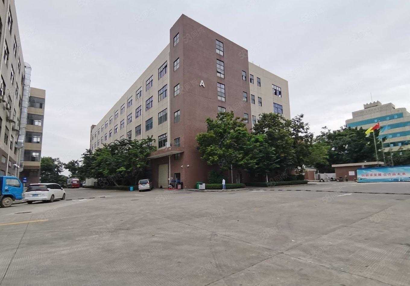 大亚湾西区红本标准厂房一楼2楼各2000平米，可分租，形像好