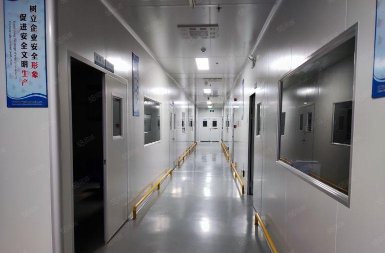 大亚湾经济开发区新空出工业园标准无尘车间2150平米低价出租