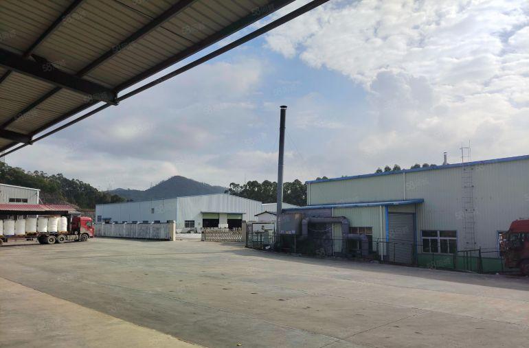 低价大亚湾西区滴水9米钢结构厂房仓库10000平方出租可分租