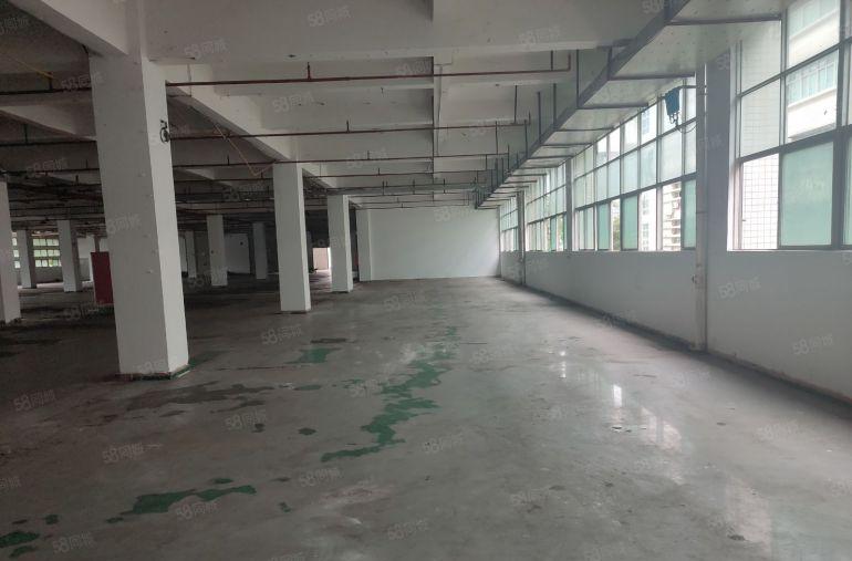 19块钱亚湾西区，仓库 3200平米，原房东