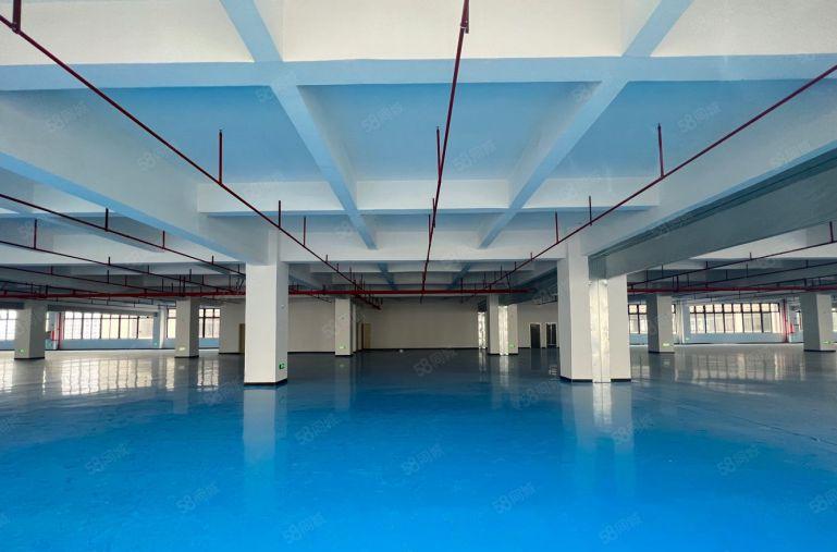 10元大亚湾新厂房200平起分帮隔墙带地坪漆厂房仓库低价出租