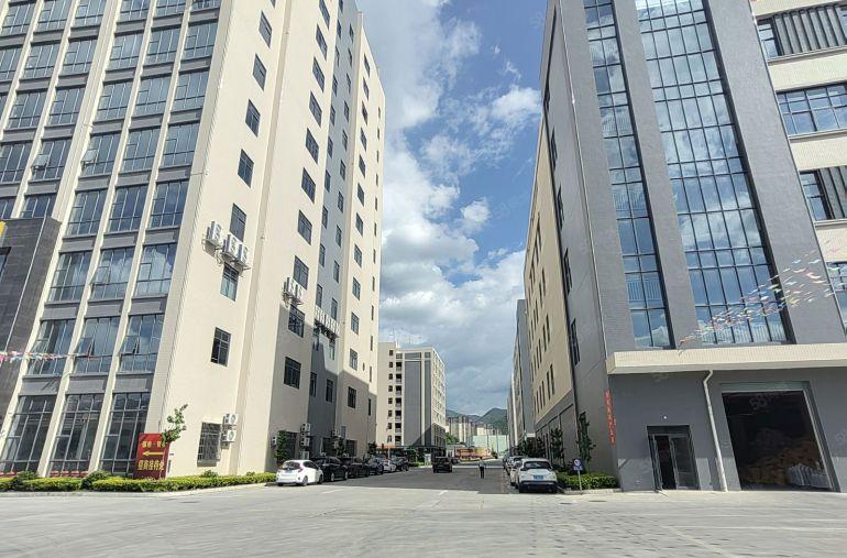 大亚湾全新标准厂房出租整层4200平电梯五吨3年不递增原房东