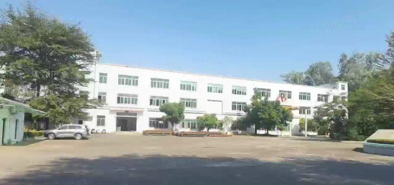 大亚湾西区原房东低价厂房仓库2500平出租，300平起分