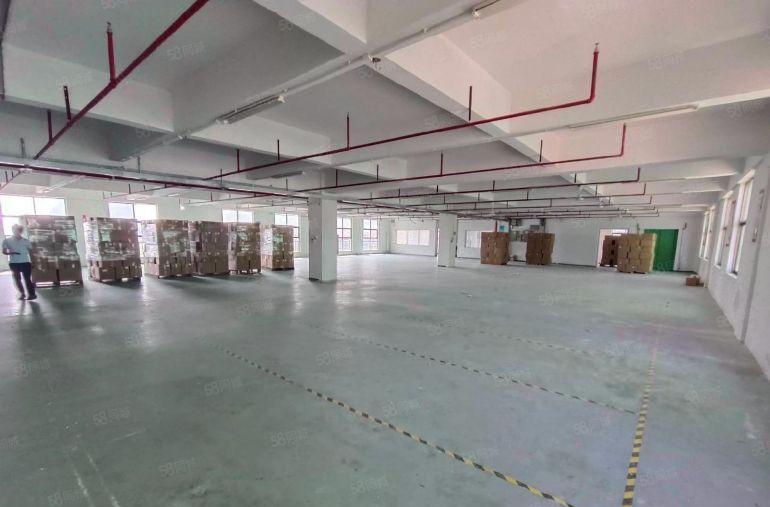 临深700平 原房东厂房 带装修 大园区 无行业限制