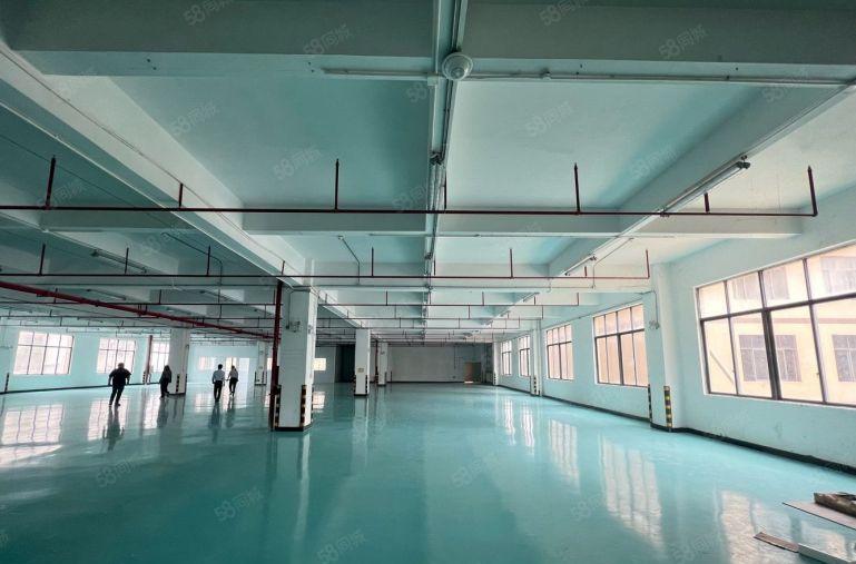 大亚湾新出原房东楼上2000平带装修厂房仓库低价出租可分租