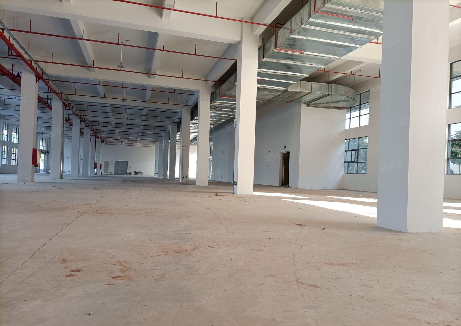 临深3公里有一手房东放租一楼厂房3000平可分割滴水7米