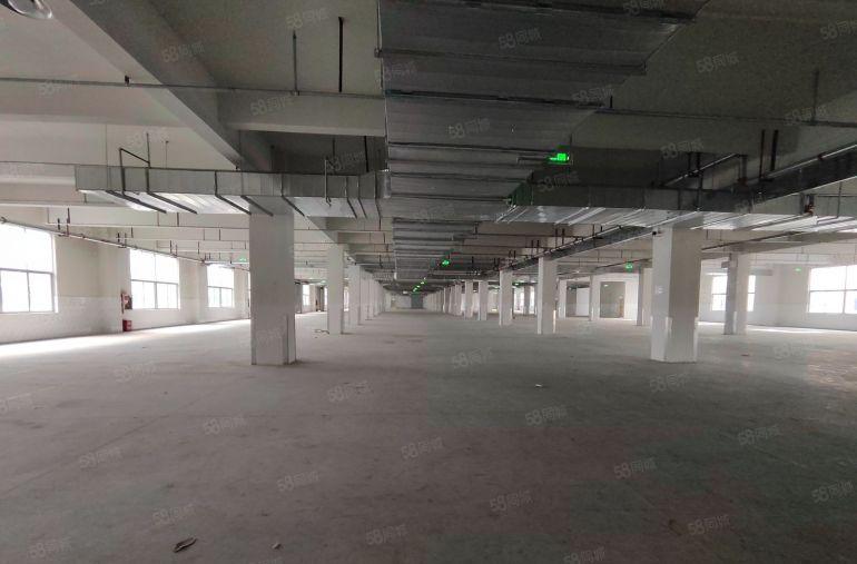 大亚湾临深10元起全新高标准厂房