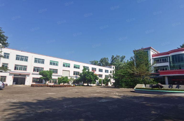 大亚湾西区原房东低价厂房仓库2500平出租，300平起分