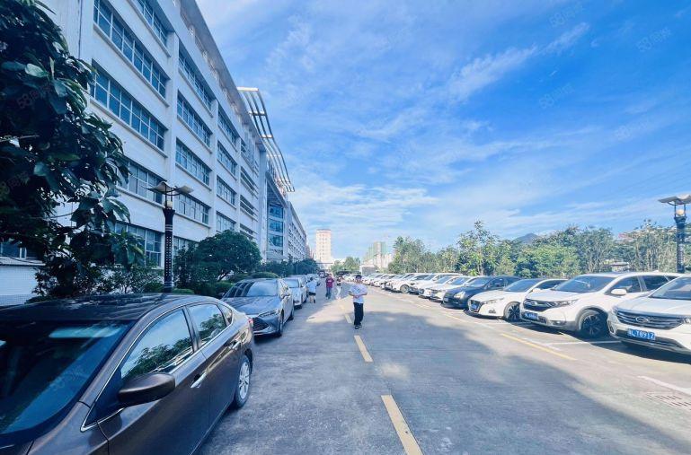 7块钱在大亚湾比亚迪旁租原房东一二楼厂房带精装修办公室