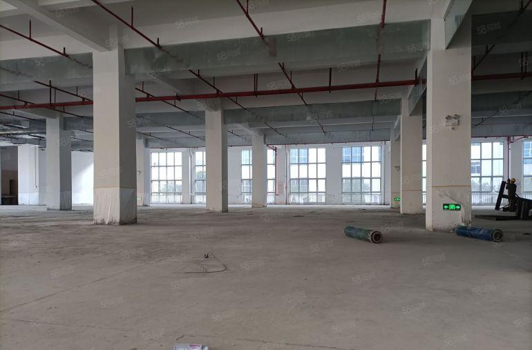 原房东新厂房3000平单层出租位于大路边园区新颖时尚