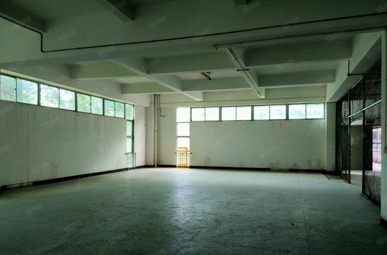 临深工业园尾盘招租 大小可分 价格便宜 大亚湾西区花园式厂房