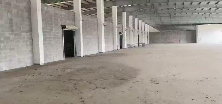 12元大亚湾西区，楼上顶层钢结构，2000平米，合做电商。