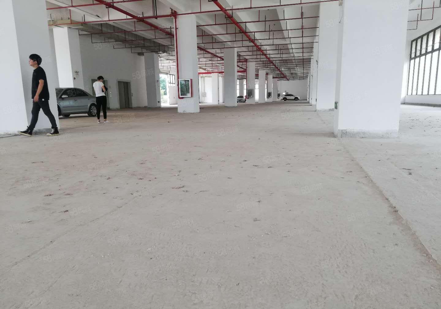 大亚湾全新原房东77558平米园区红本厂房出租，可分租