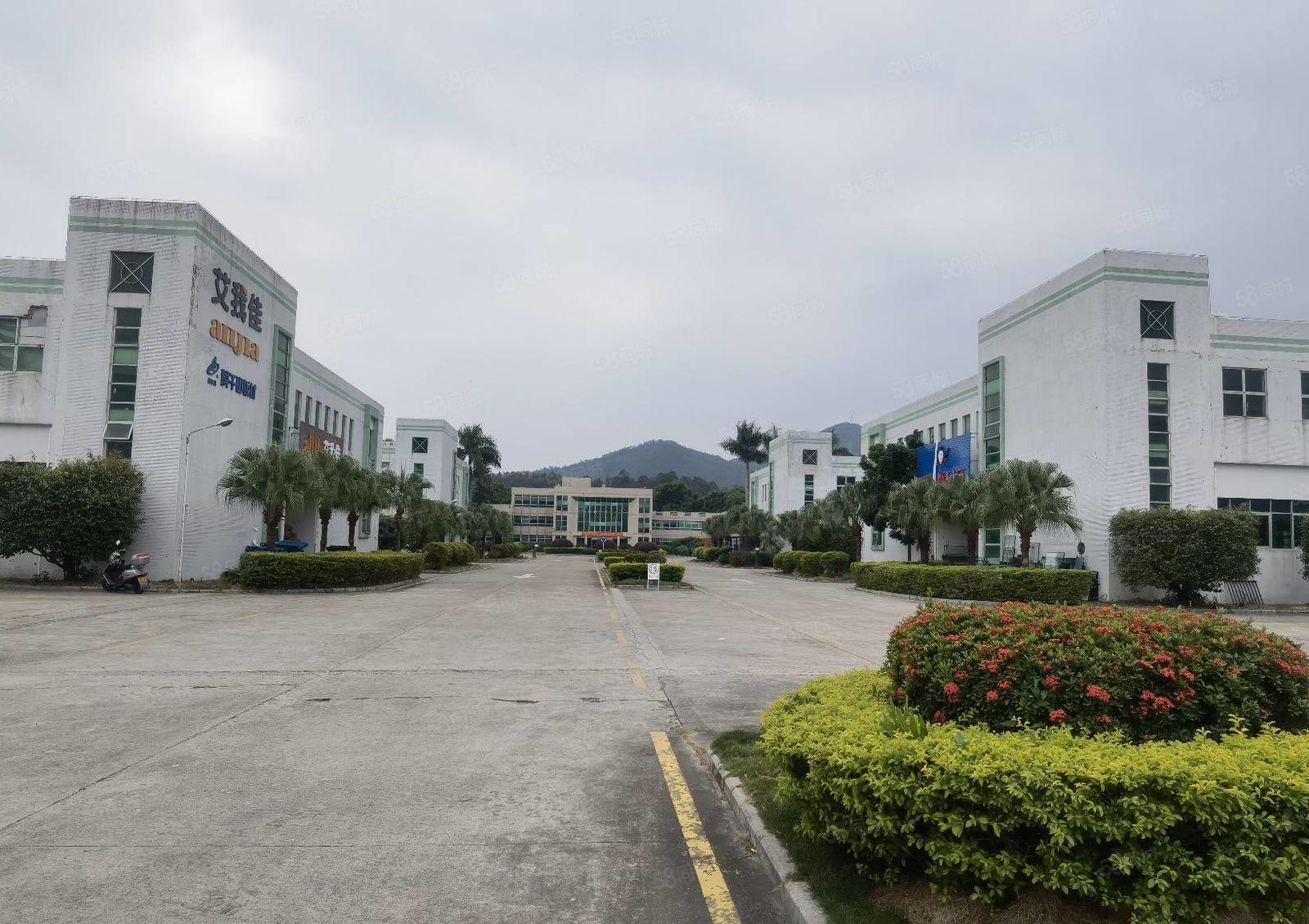 （超长免租期）整层1000平原房东厂房出租，证件齐全