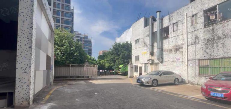 高8米2900平原房东独门独院钢构带精装修办公室带卸货台