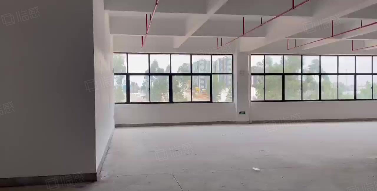 临深大亚湾全新一楼7.5米16万平厂房仓库仓库出租 缷货平台