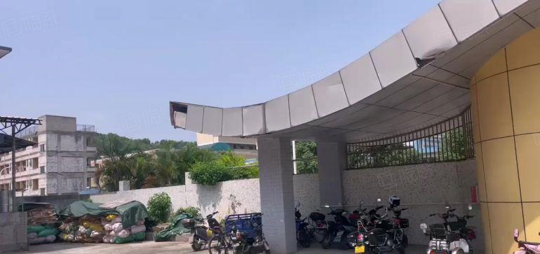 滴水9米！大亚湾2000平单一层厂房仓库低价出租 中间无立柱