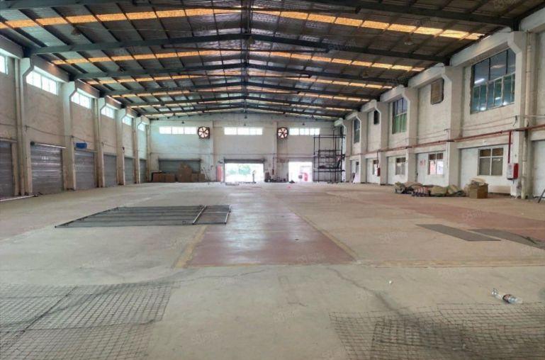 滴水9米！大亚湾2000平单一层厂房仓库低价出租 中间无立柱